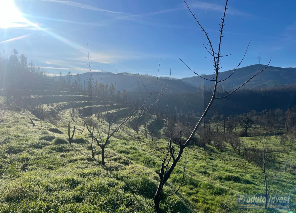 Quinta para Venda em Lavacolhos Foto 10