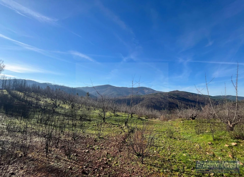 Quinta para Venda em Lavacolhos Foto 13