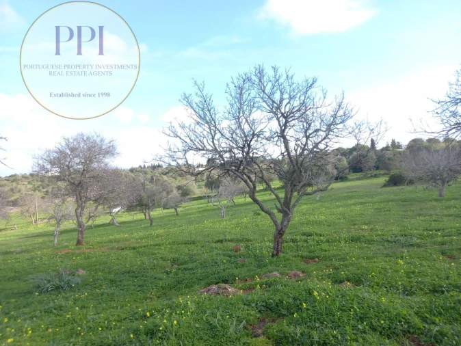 Moradia T1 para Venda em Bensafrim e Barão de São João Foto 21