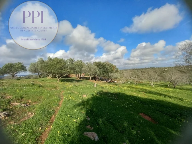 Moradia T1 para Venda em Bensafrim e Barão de São João Foto 9