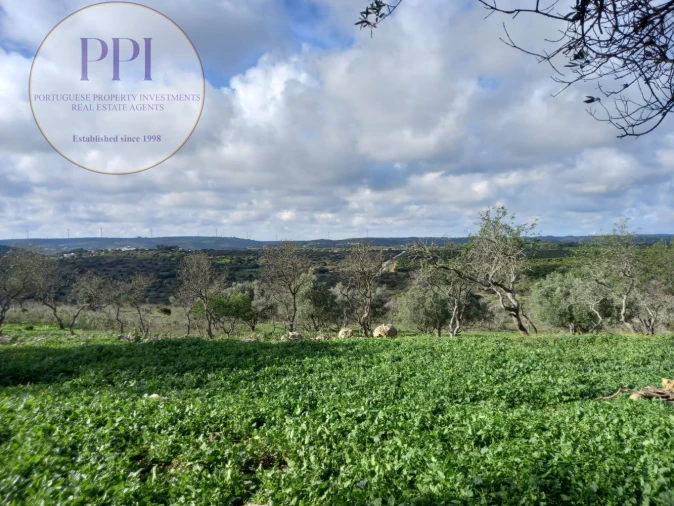 Moradia T1 para Venda em Bensafrim e Barão de São João Foto 15