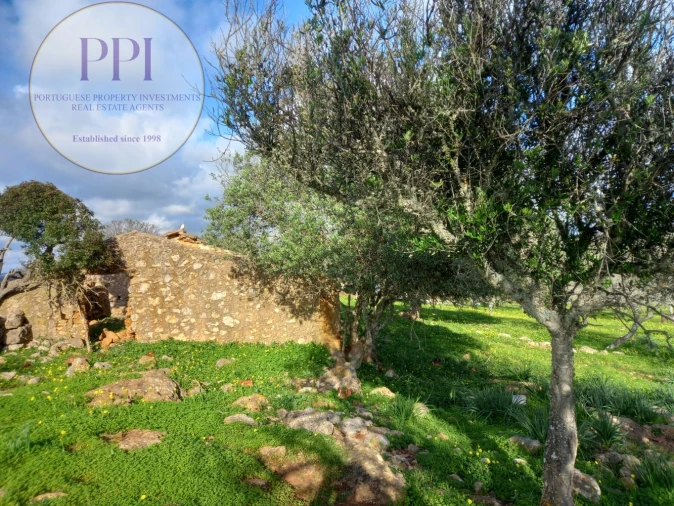 Moradia T1 para Venda em Bensafrim e Barão de São João Foto 19