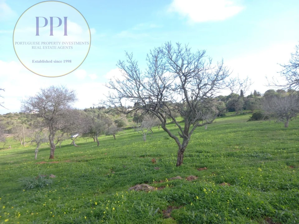 Moradia T1 para Venda em Bensafrim e Barão de São João Foto 21