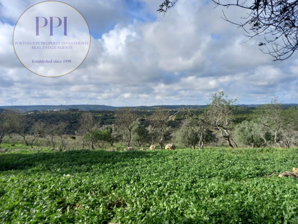 Moradia T1 para Venda em Bensafrim e Barão de São João Foto 15