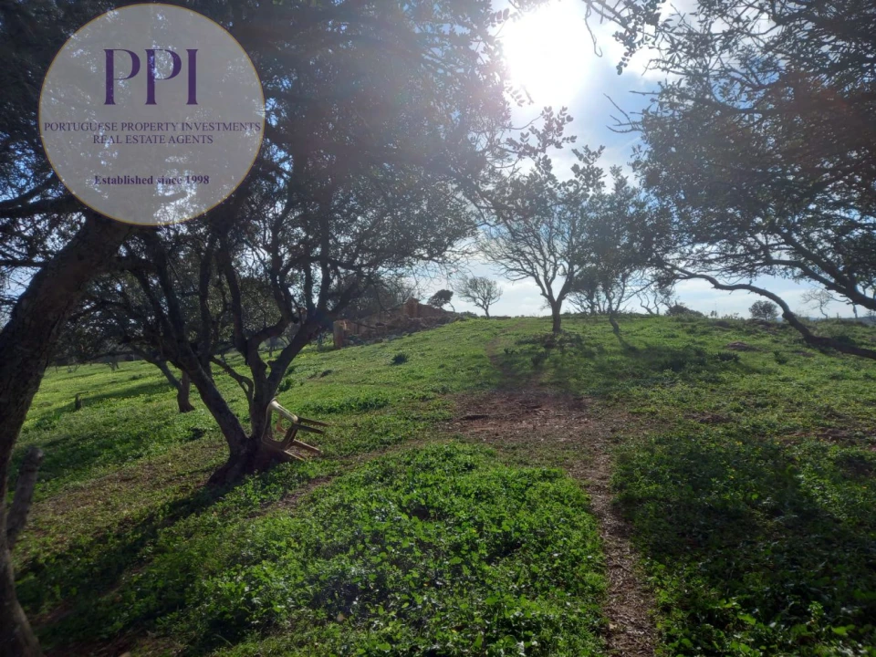 Moradia T1 para Venda em Bensafrim e Barão de São João Foto 18