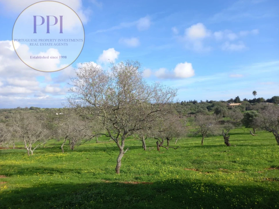 Moradia T1 para Venda em Bensafrim e Barão de São João Foto 10