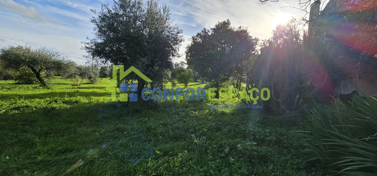 Terreno para Venda em Castelo Branco Foto 2