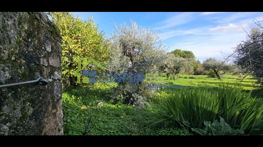 Quinta T0 para Venda em Castelo Branco