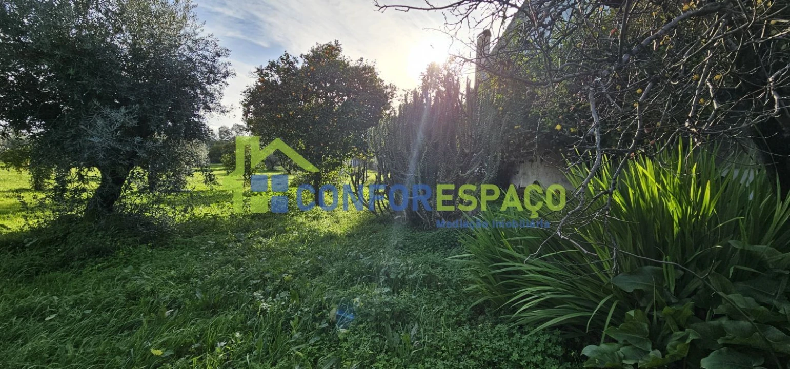 Terreno para Venda em Castelo Branco Foto 3