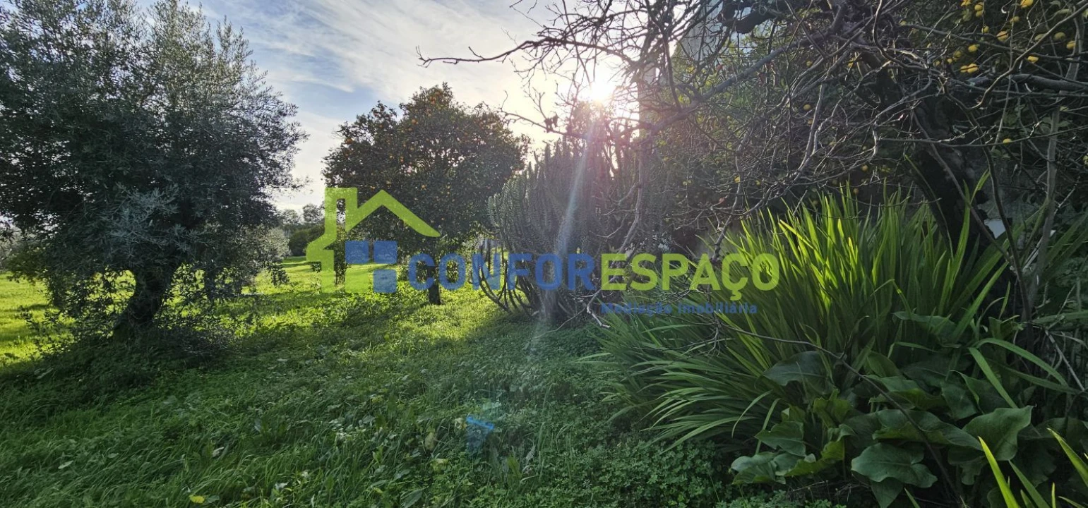 Terreno para Venda em Castelo Branco Foto 4