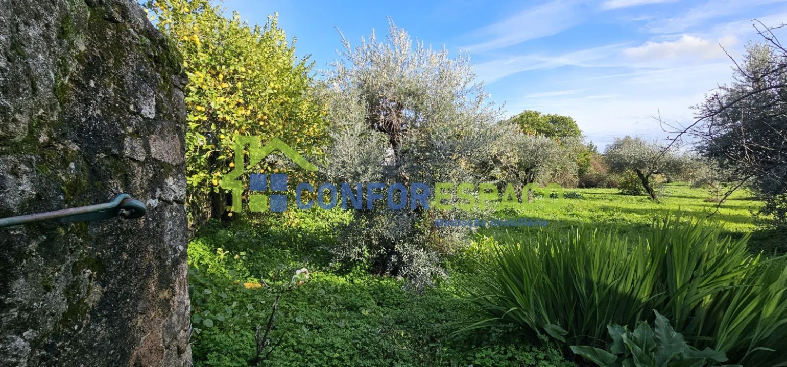 Terreno para Venda em Castelo Branco Foto 1