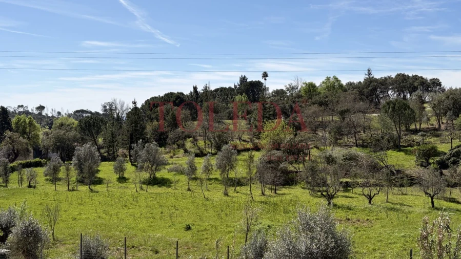 Moradia T4 para Venda em Casais e Alviobeira Foto 34