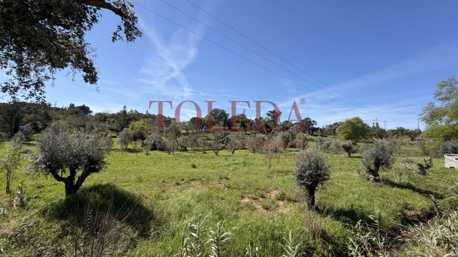 Moradia T4 para Venda em Casais e Alviobeira Foto 49