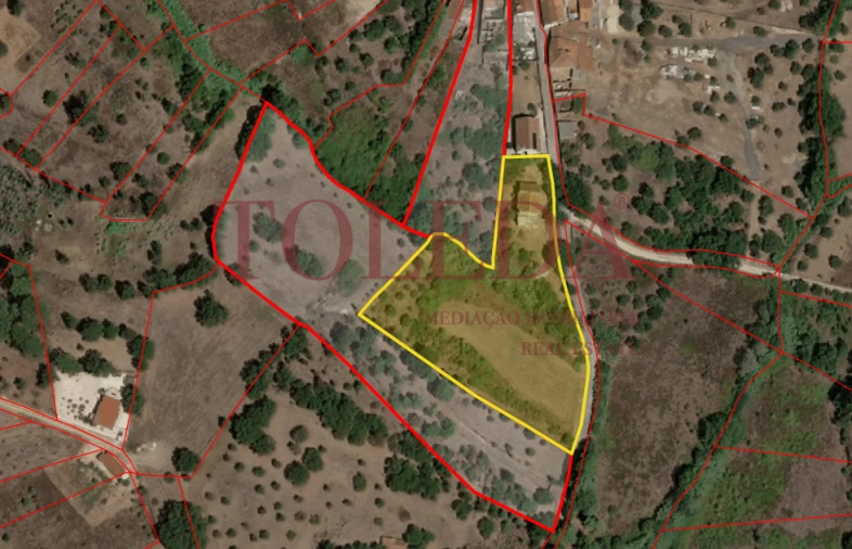 Moradia T4 para Venda em Casais e Alviobeira Foto 58