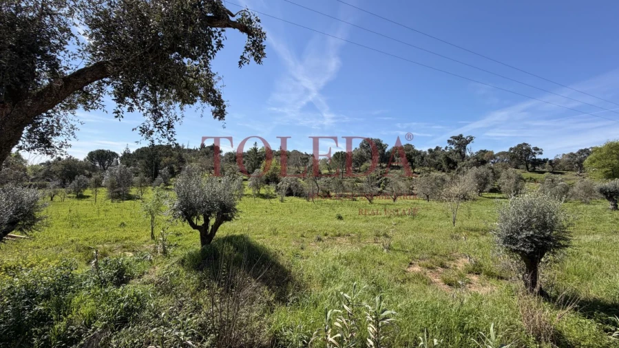 Moradia T4 para Venda em Casais e Alviobeira Foto 48