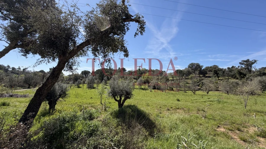 Moradia T4 para Venda em Casais e Alviobeira Foto 50