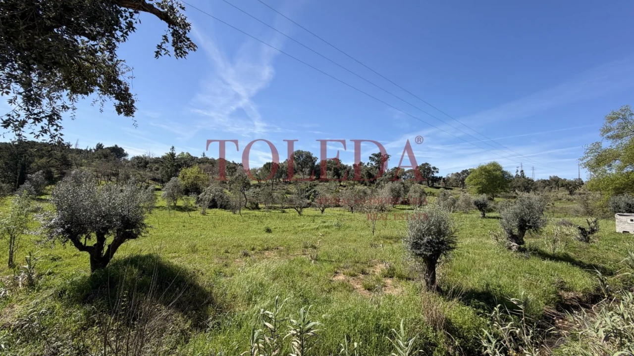 Moradia T4 para Venda em Casais e Alviobeira Foto 49