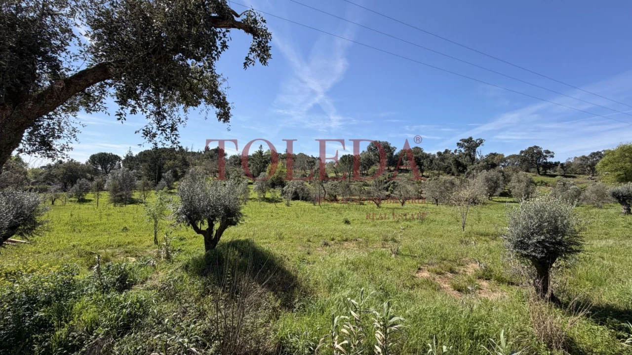 Moradia T4 para Venda em Casais e Alviobeira Foto 48