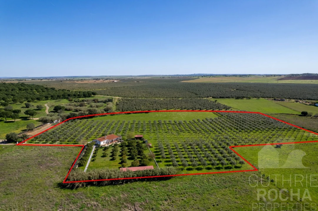 Quinta T2 para Venda em Faro do Alentejo Foto 27