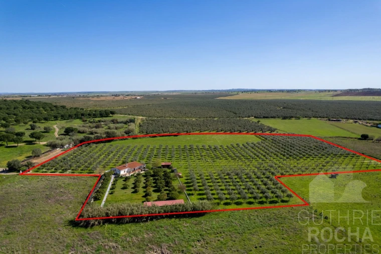 Quinta T2 para Venda em Faro do Alentejo Foto 27