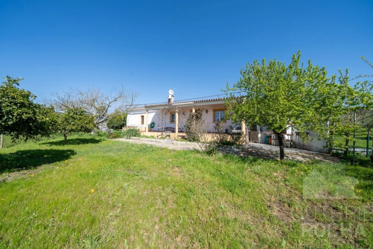 Quinta T2 para Venda em Faro do Alentejo Foto 3