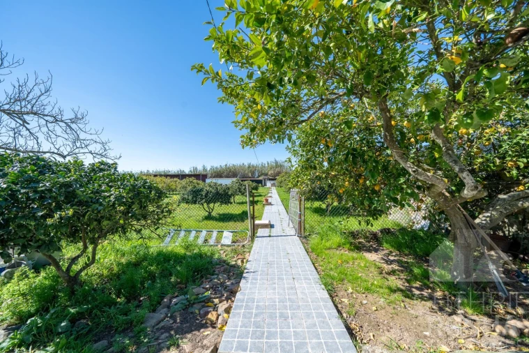 Quinta T2 para Venda em Faro do Alentejo Foto 6