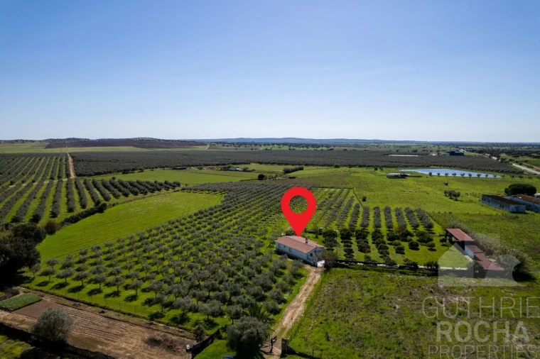 Quinta T2 para Venda em Faro do Alentejo Foto 24