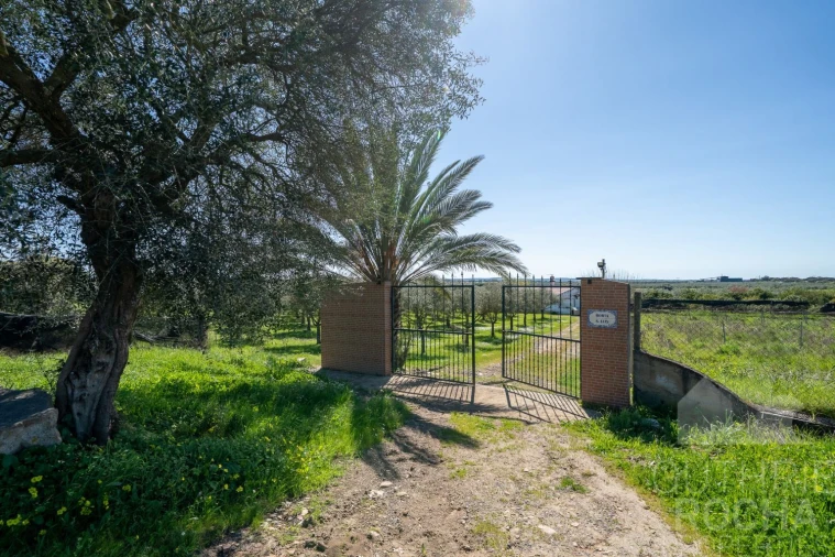 Quinta T2 para Venda em Faro do Alentejo Foto 1