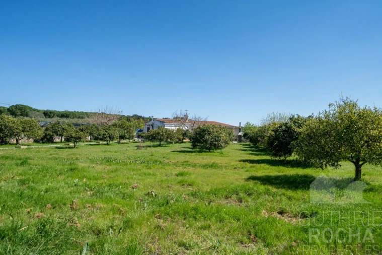 Quinta T2 para Venda em Faro do Alentejo Foto 23