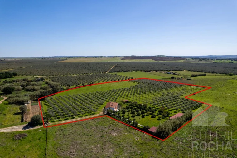 Quinta T2 para Venda em Faro do Alentejo Foto 26