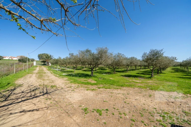 Quinta T2 para Venda em Faro do Alentejo Foto 2