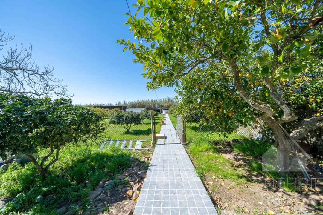 Quinta T2 para Venda em Faro do Alentejo Foto 6