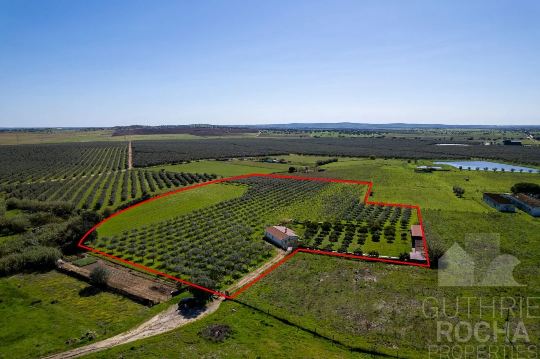 Quinta T2 para Venda em Faro do Alentejo Foto 25