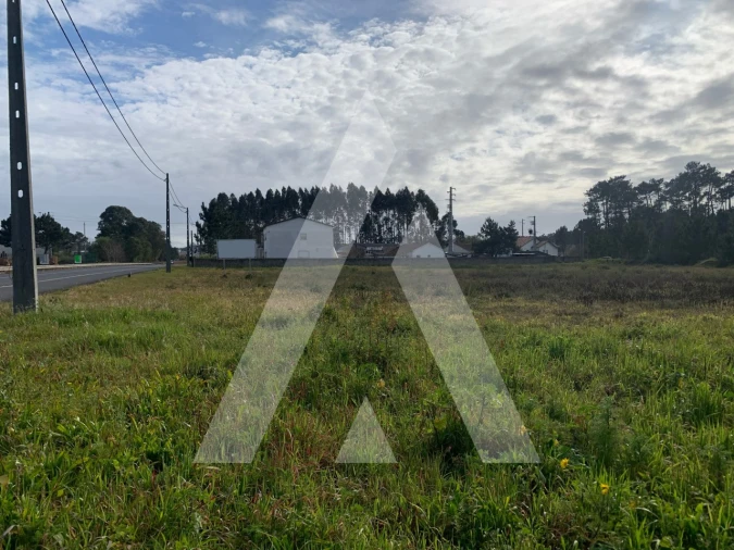 Terreno para Venda em Marinha Grande