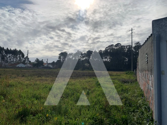 Terreno para Venda em Marinha Grande Foto 6