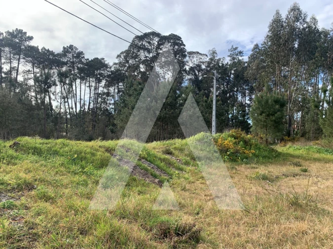 Terreno para Venda em Marinha Grande Foto 9