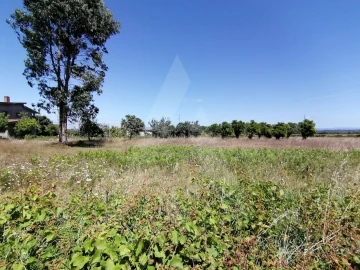 Terreno para Venda em Cacia