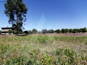 Terreno para Venda em Cacia