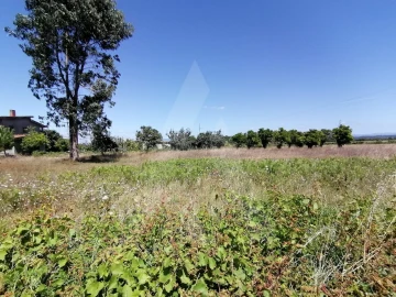 Terreno para Venda em Cacia