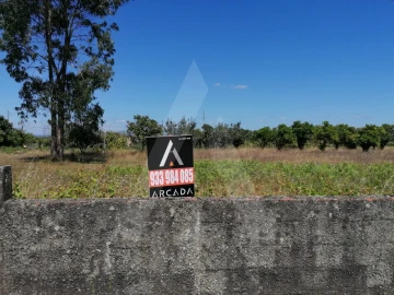 Terreno para Venda em Cacia