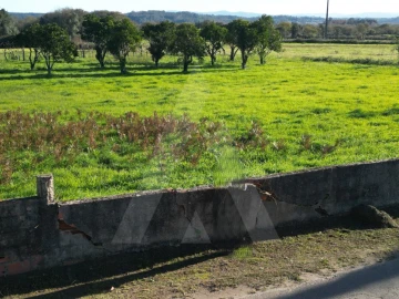 Terreno para Venda em Cacia
