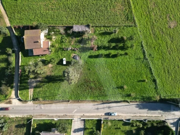 Terreno para Venda em Cacia