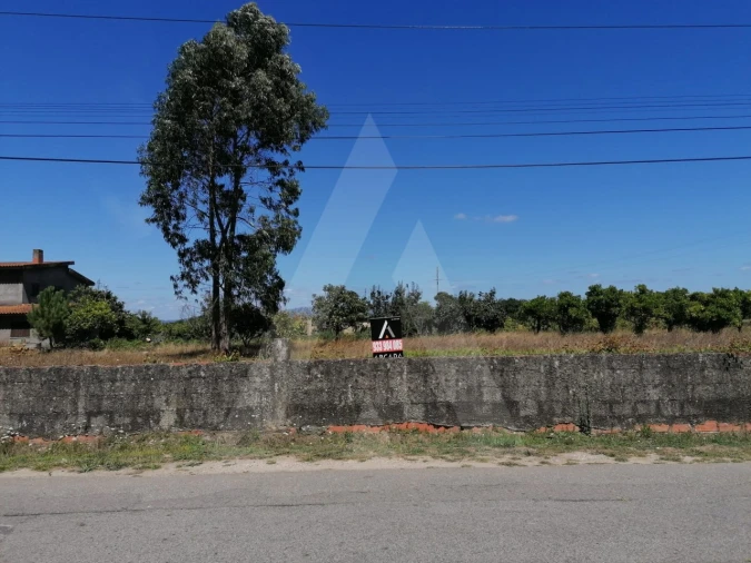 Terreno para Venda em Cacia Foto 4