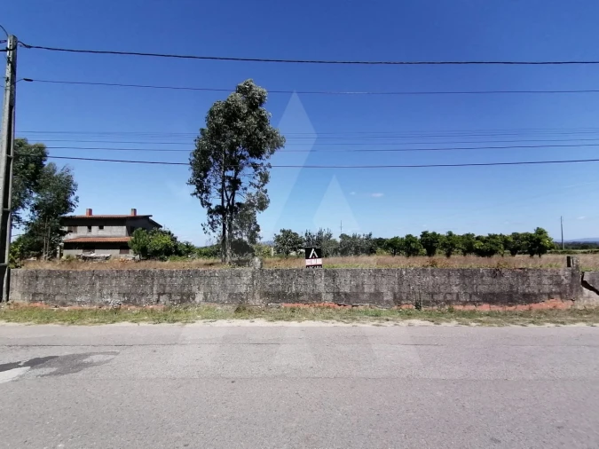 Terreno para Venda em Cacia Foto 5
