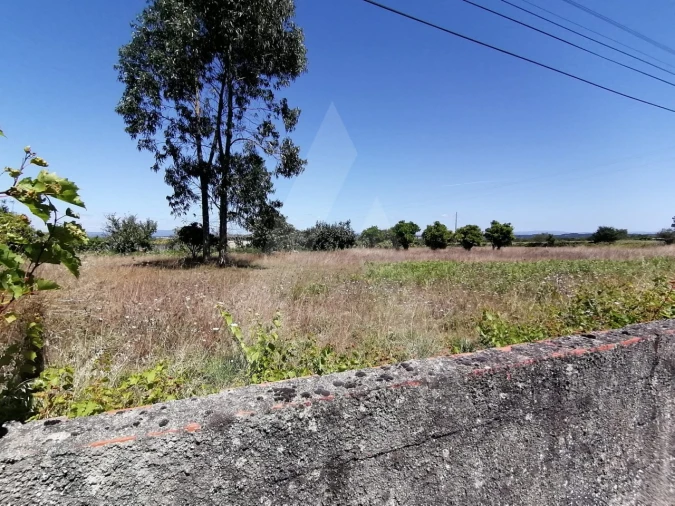 Terreno para Venda em Cacia Foto 6
