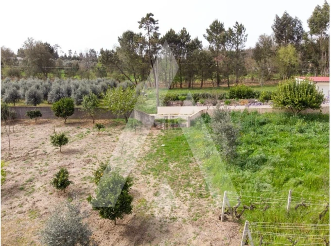 Terreno para Venda em Maçãs de D. Maria Foto 3