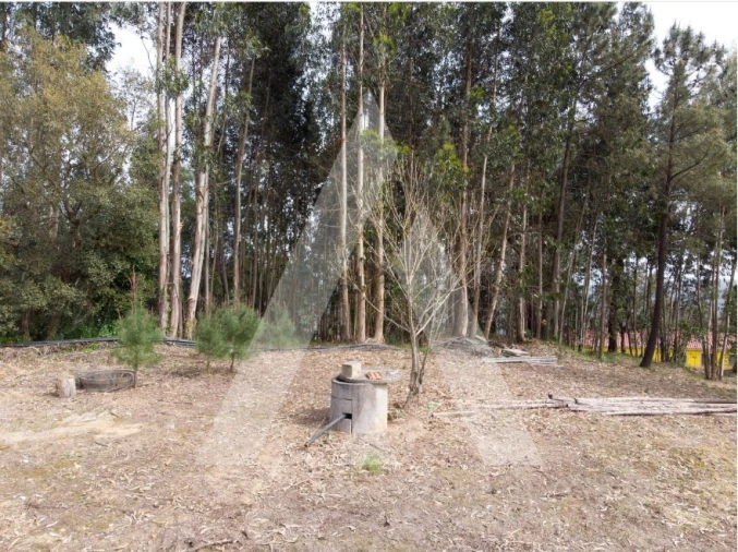 Terreno para Venda em Maçãs de D. Maria Foto 4