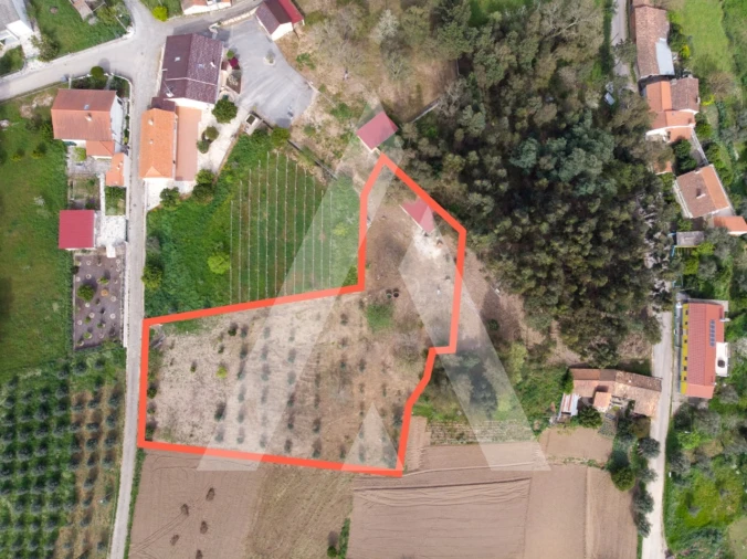 Terreno para Venda em Maçãs de D. Maria Foto 2