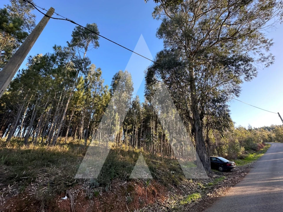 Terreno para Venda em Pussos São Pedro Foto 9
