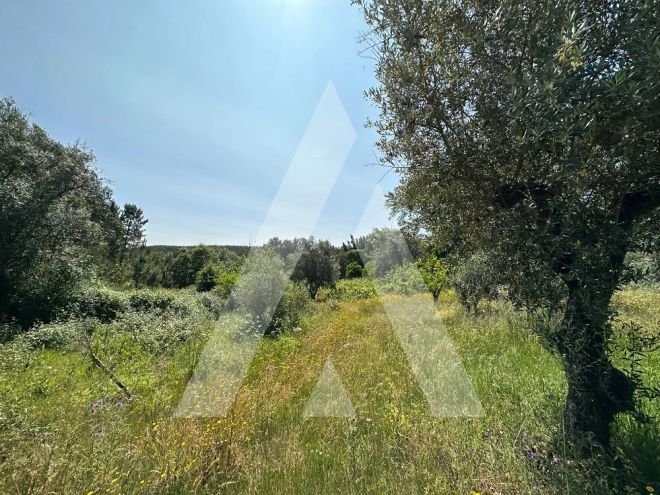 Terreno para Venda em Pussos São Pedro Foto 8